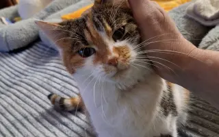 9 nalezených Lásek