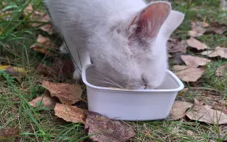 8 nalezených Lásek