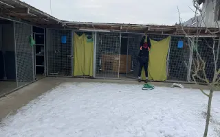 STOP ZMRZLÝM ČUMÁČKŮM - uděláme topení v kotcích