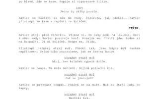 Podpořte krátký STUDENTSKÝ FILM - every child can fly