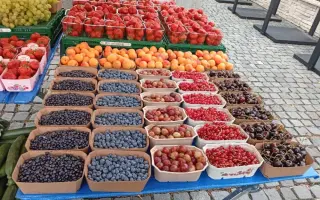 Podpořte lokální stánky s ovocem a zeleninou v Plzni!