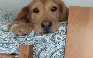 František bojuje s rakovinou – pomozme mu s léčbou a každodenním životem