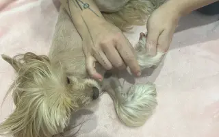 Prosím o pomoc pro našeho Huberta