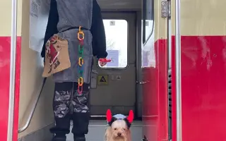 Pomozte Maxíkovi v boji s lymfomem