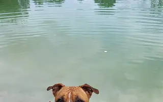 ...aby se Roxy mohla postavit bezbolestně na nohy