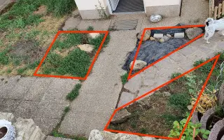 Pomoc pro pejsky čekající na nový domov