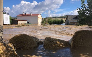 Pomozme Brantickému dvorku po povodních a požáru