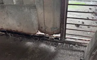 Útulek, který zachránil tisíce zvířat, dosluhuje. Pomozte nám ho opravit.