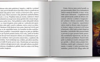 Podpořte vydání jedinečné knihy Záhadný Leonardo