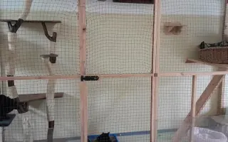 Domeček plný naděje pro opuštěné kočky