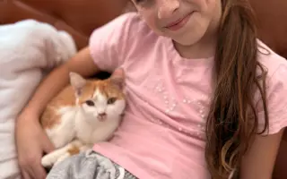 POMOZTE NÁM ZASTAVIT KRUH KOČIČÍHO UTRPENÍ. Víme jak na to, ale bez vás to nezvládneme.