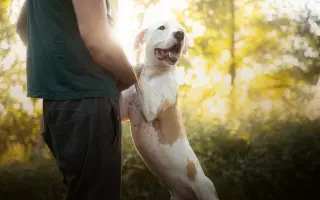 Šmudlina se rozšiřuje - pátá etapa