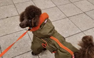 Elektrický pohon k vozíku pro Evu s DMO