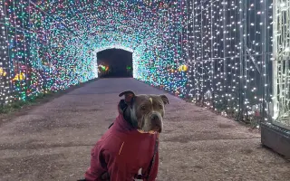 Pomozme Ele opět poznávat svět