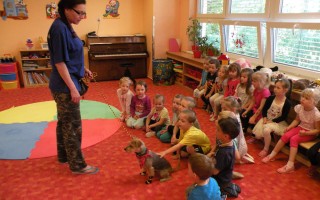 Canisterapie CANTES v krajích ČR jako sociální rehabilitace