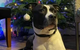 Mia ví, že čas běží… my můžeme prodloužit její chvíle