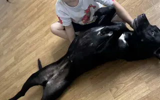 Pomoc pro Leilu po operaci nádoru