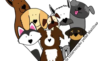 Pomozte nám postavit útočiště pro psy z ulice