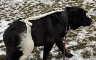 Aby mohl být Drobeček stále Drobečkem