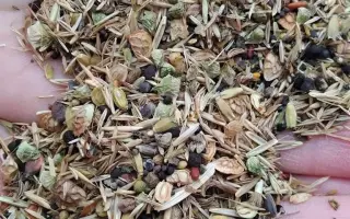 Podpořte bylinkový projekt Azeret Herbs