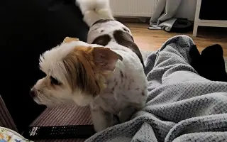 Pomoc pro Enny