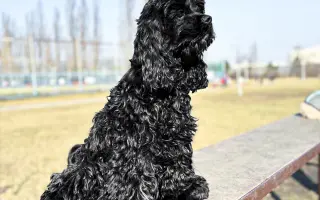 Operace očí  a veterina pro Medvídka Pú 🩷