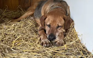 🥾 154 KM ZA TY, KTEŘÍ UŽ NEMŮŽOU 🐾