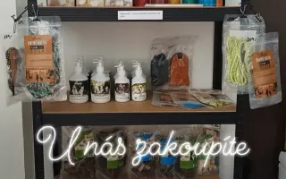Pojďme dát kočičkám druhou šanci, obnovme kočičí kavárnu café & bar Šťastné tlapky