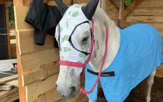 Když se štěstí obrátí zády: Pomoc pro Chérie a Areska
