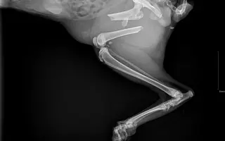 Rio to nevzdal: Pomozme mu zpátky na nohy!