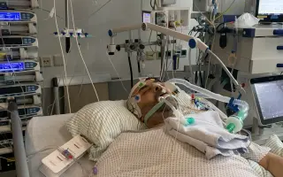 Příspěvek na rehabilitace