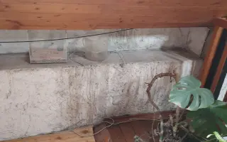 Zachraňme střechu Nadace Josefa Plívy