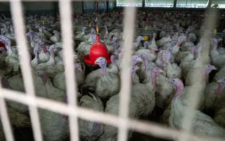 Natočte s námi nový Dokument