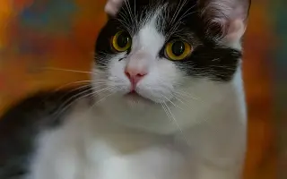 Rok 2025 je nejhorší za dobu fungování. POTŘEBUJEME POMOCI