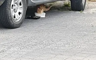 Díky vám mají co jíst!🙏❤️