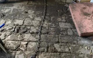 Vánoční sbírka pro opuštěná a týraná zvířata