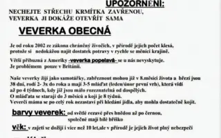 POMOC PRO FOXÍČKA, ASPENA A TAFFY-JACKA