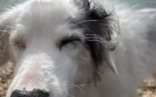 Víc času pro Denyšku ❤️