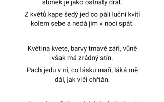 Podpořte vydání hororové knihy básní - Noční můry v duši.