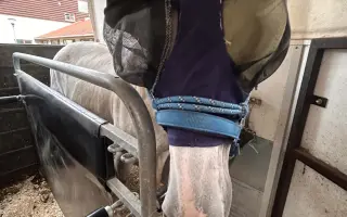Pomozme Moonymu zachránit zrak