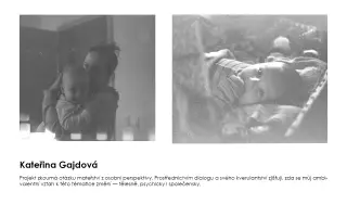 Podpořte výstavu maturitních projektů - Fotografie4!