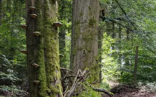 Klondyk - místo, které máš rád