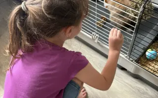 Sbírka na operaci pro Freddyho