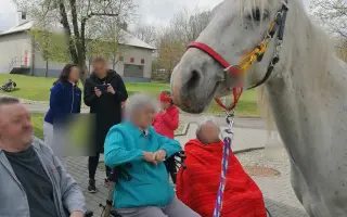 Kůň pro zdraví – podpořte dobrovolnou terapii