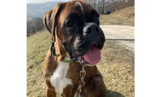 Pomozte Baronovi vyhrát boj s rakovinou