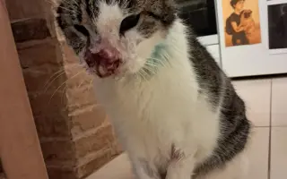 Filípek chce žít: pomoz mu porazit nádor