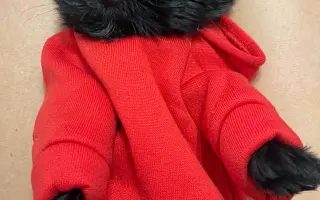 Pro Tobyho na veterinární péči a rehabilitace