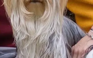 Pomozte Maxíkovi v boji s lymfomem