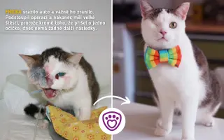 Každá kapka má smysl! Přiveďte vodu do centra pro handicapovaná zvířata