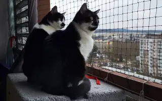 9 nalezených Lásek